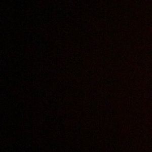 Meet your Posher, Brady